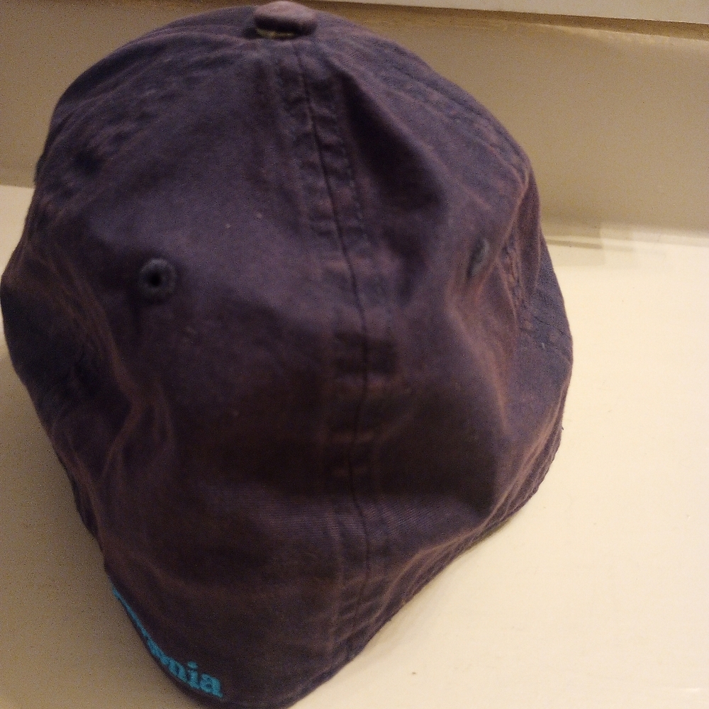 Patagonia Fitz Roy Trout Men's Flex Fit Hat - Picture 5 of 10